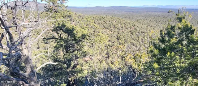 a view of mountain view with lots of bushes