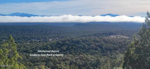 a view of a large building with a mountain in the background