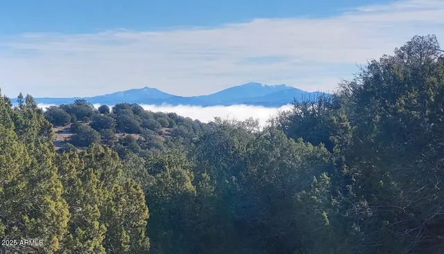 a view of a house with a mountain