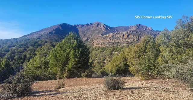 a view of a city with lush green forest