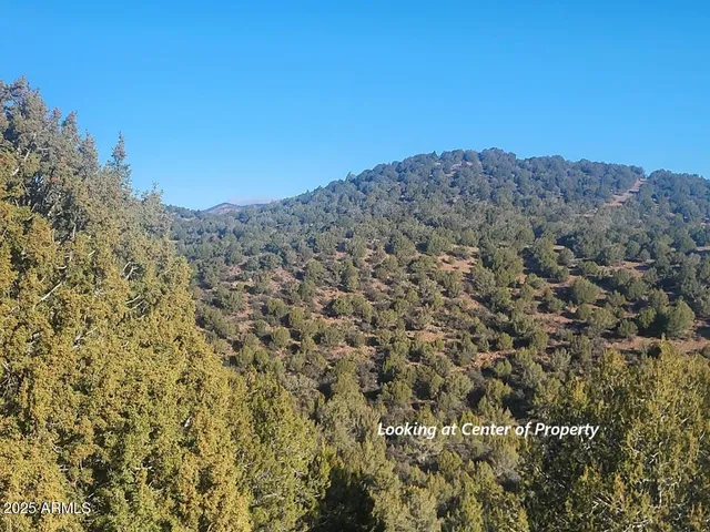 a view of a terrace with a yard