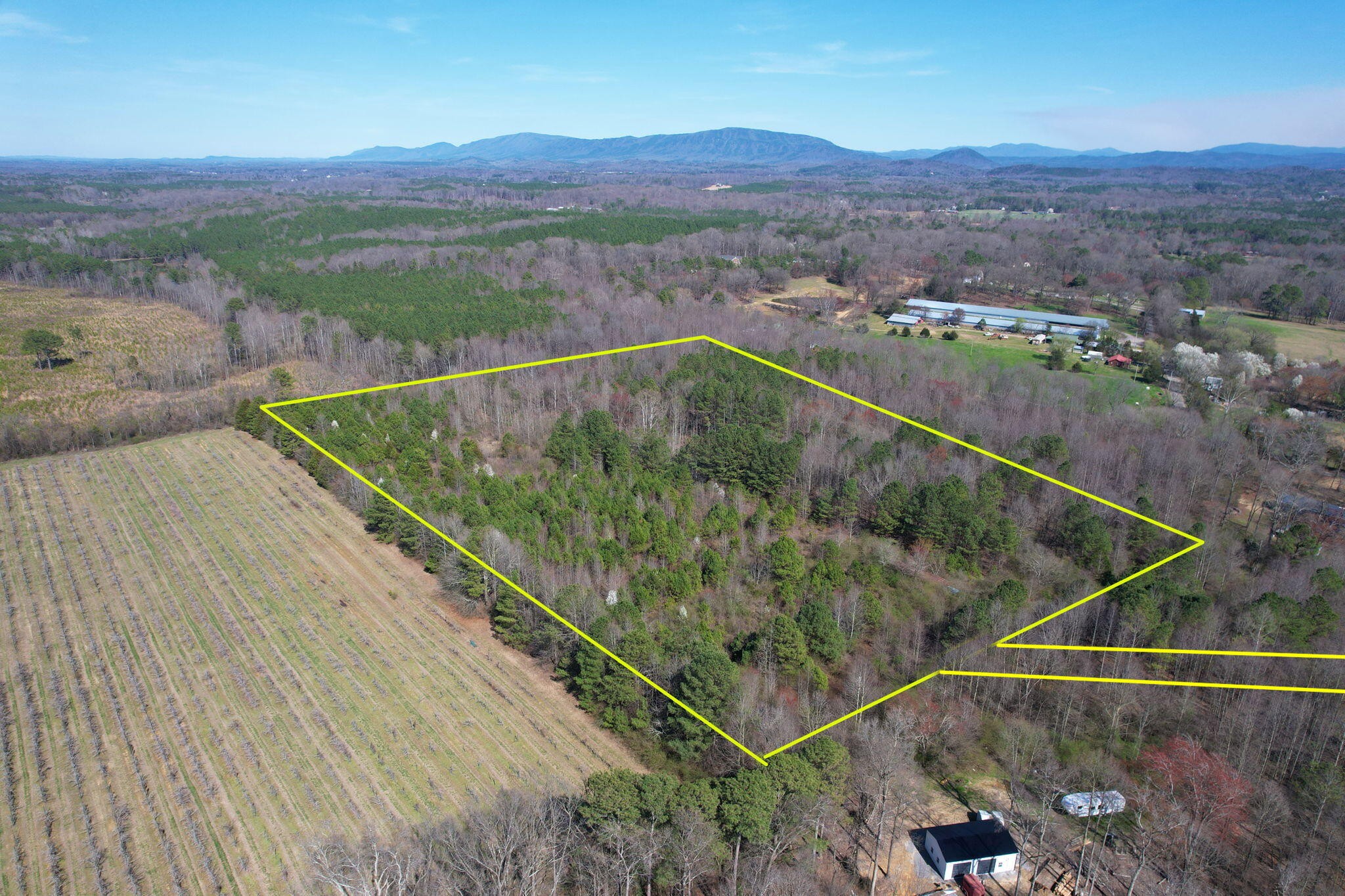 0 Southeast Branam Road Old Fort, TN 37362 - Photo 4 of 17 Gallery Image 4