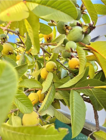 $138,500 | 8389 Baker Avenue, Unit 28, Rancho Cucamonga, CA 91730