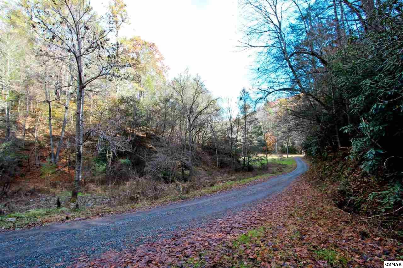 2737 Laurel Forks Road Del Rio, TN 37727 - Photo 21 of 25 Gallery Image 21