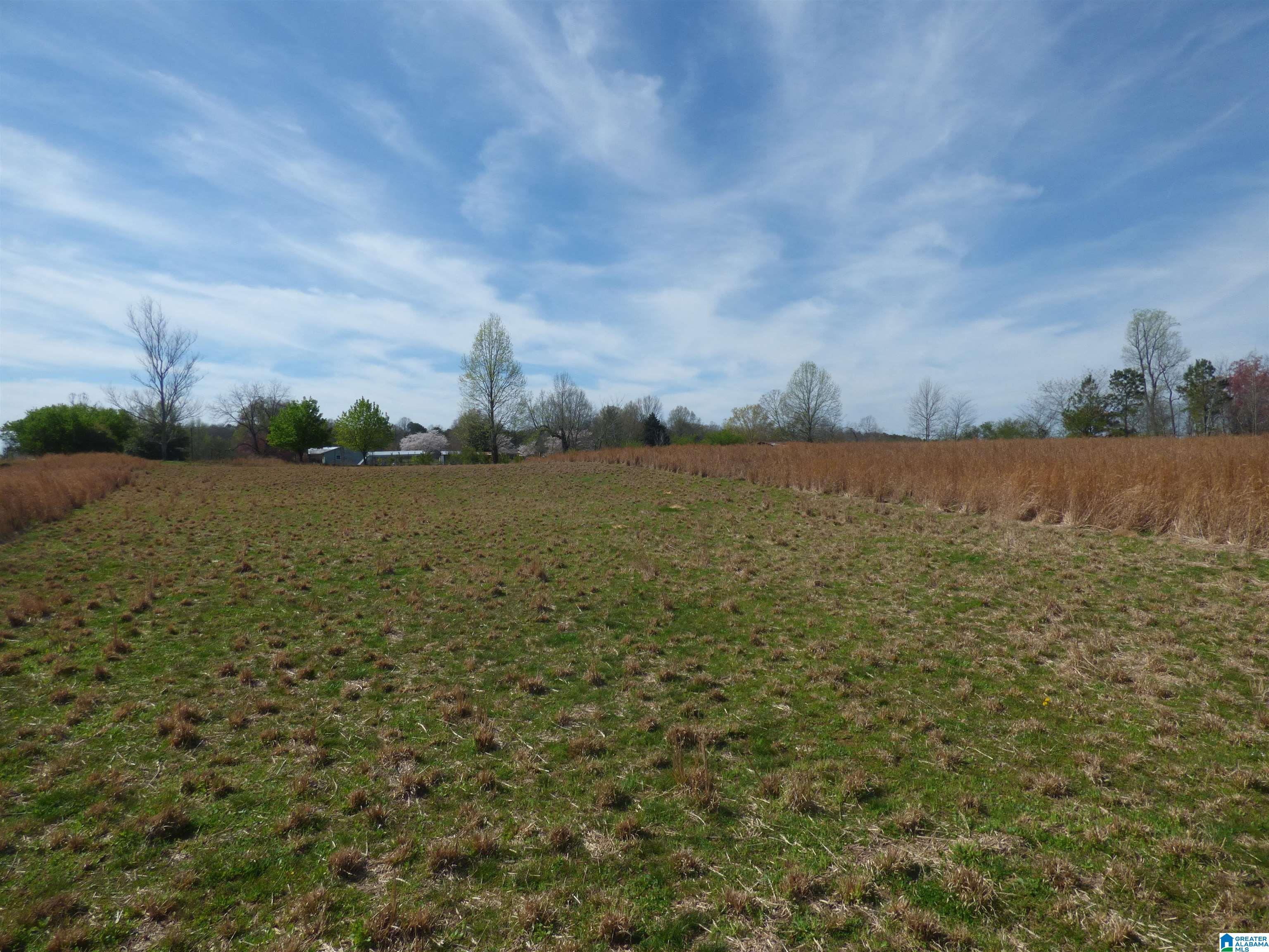 114 Haynes Road Altoona, AL 35952 - Photo 41 of 49