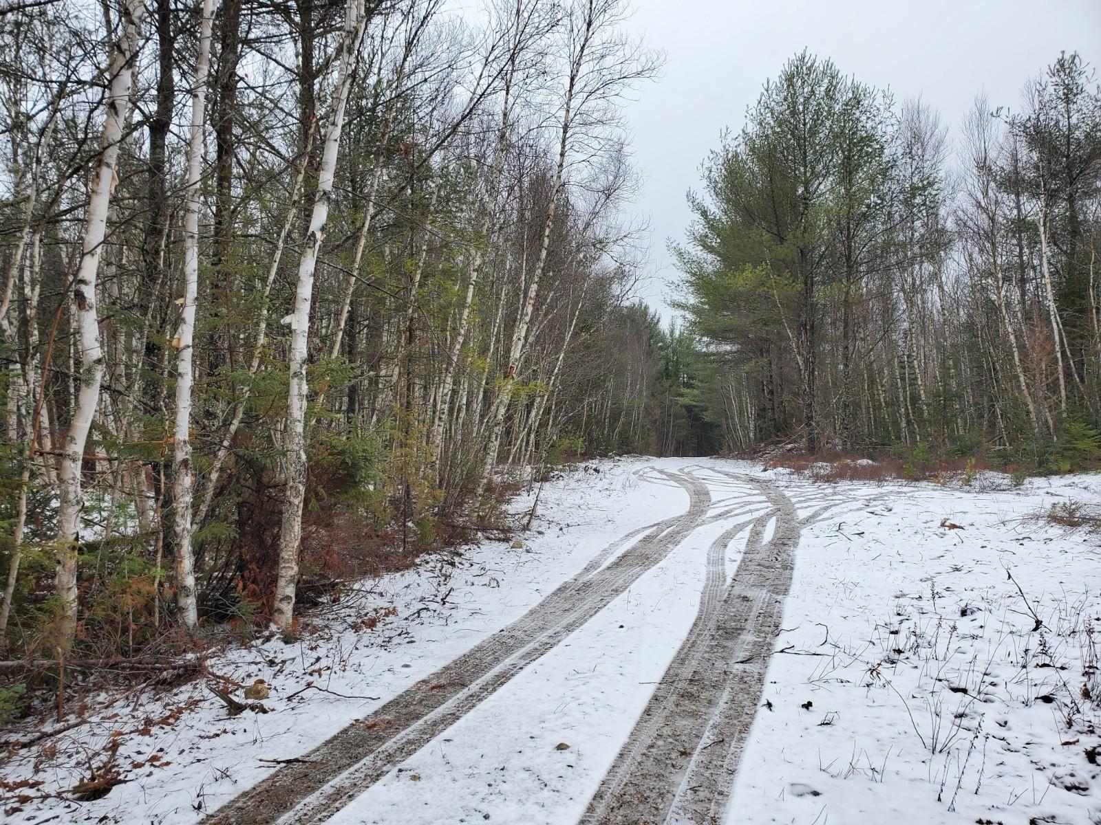 Lot 4 82-02-0 Road Wesley, ME 04686 - Photo 2 of 4 20201221_124125