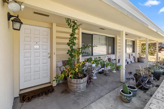 a view of a potted plant in front of a house