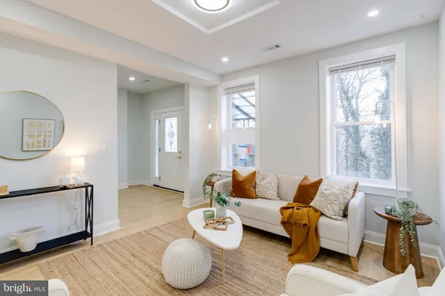 a living room with furniture and a potted plant