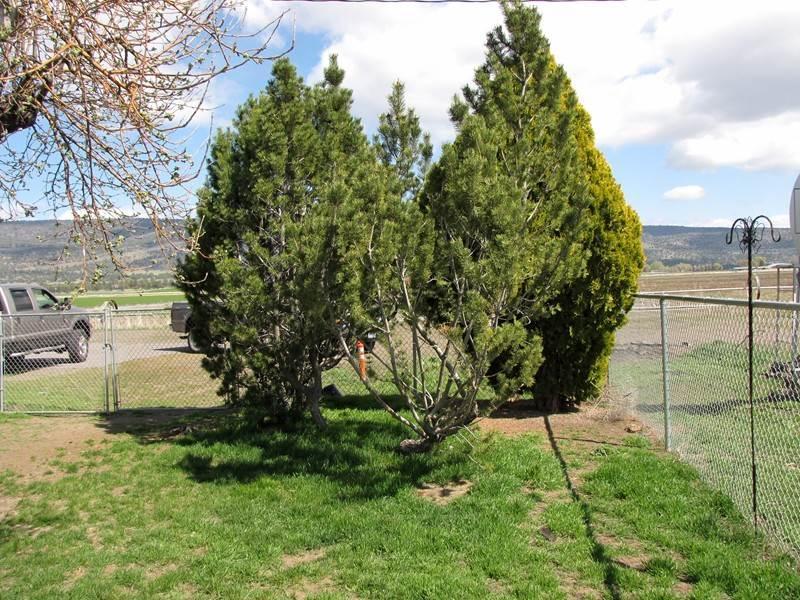 32650 Malin Loop Road Malin, OR 97632 - Photo 17 of 24 Additional Photo