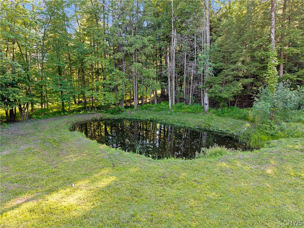 237 Crim Road Parish, NY 13131 - Photo 43 of 46
