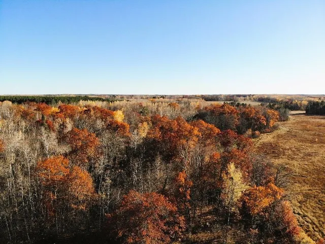 $674,900 | 1353 Highway 371, Backus, MN 56435