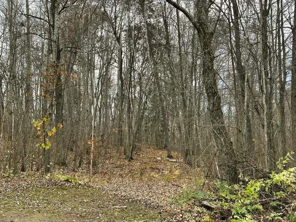 $634,900 | 1353 Highway 371, Backus, MN 56435