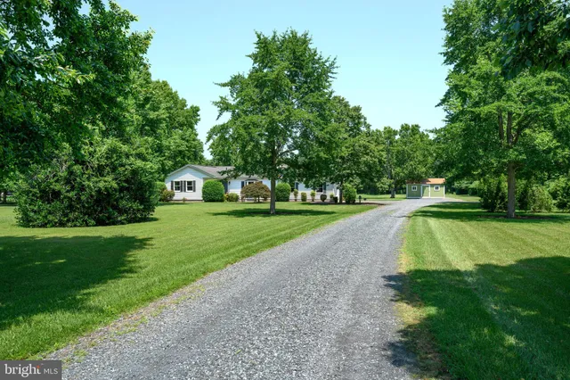 a view of yard with swimming pool and green space