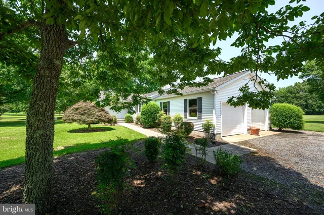 a backyard of a house with plants and large trees