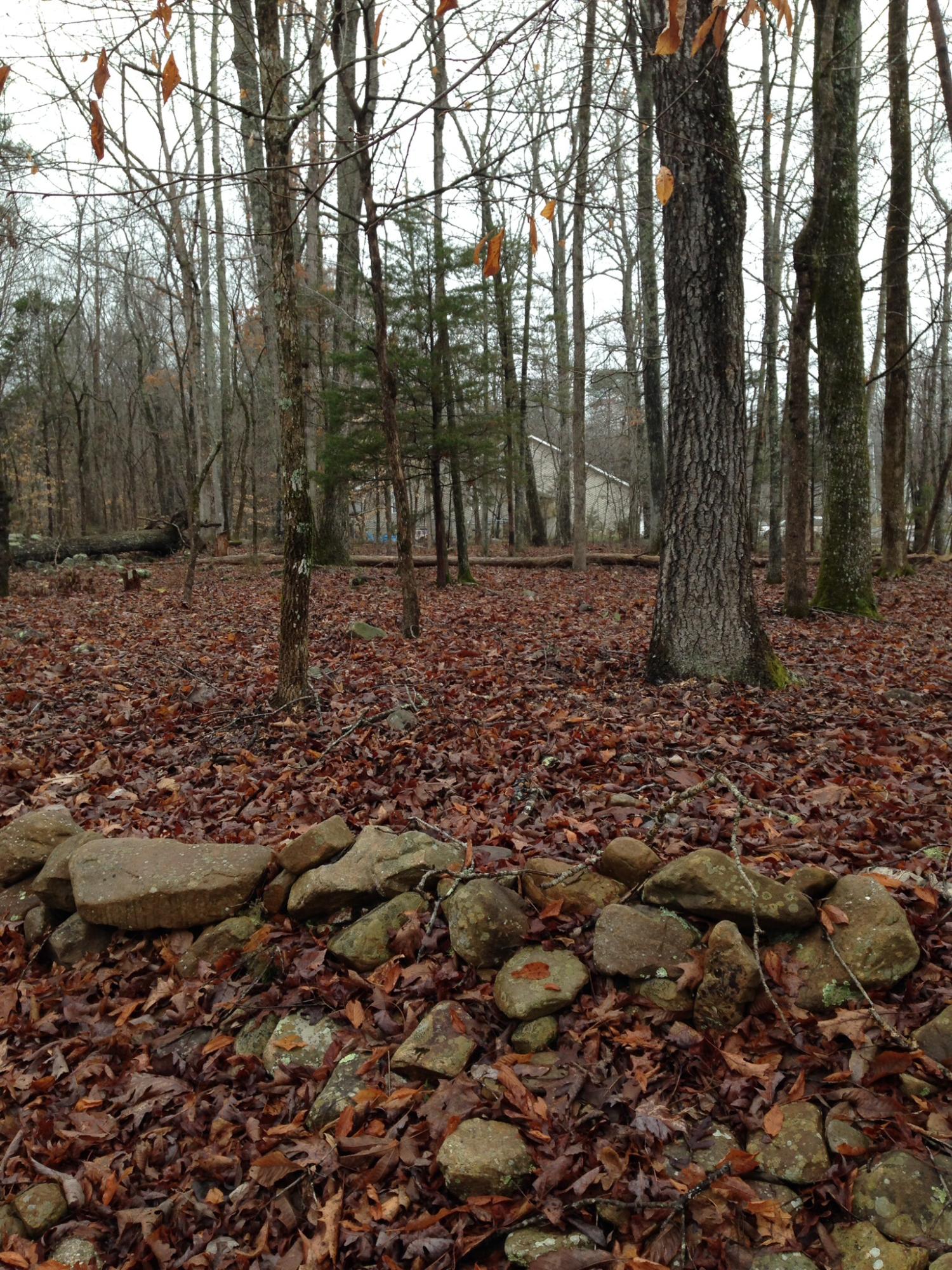 25 Blue Sewanee Road, Unit 25 Dunlap, TN 37327 - Photo 4 of 10 image.jpg