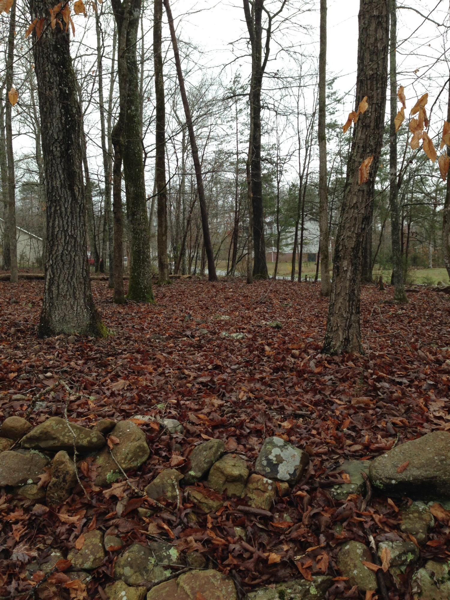 25 Blue Sewanee Road, Unit 25 Dunlap, TN 37327 - Photo 5 of 10 image.jpg
