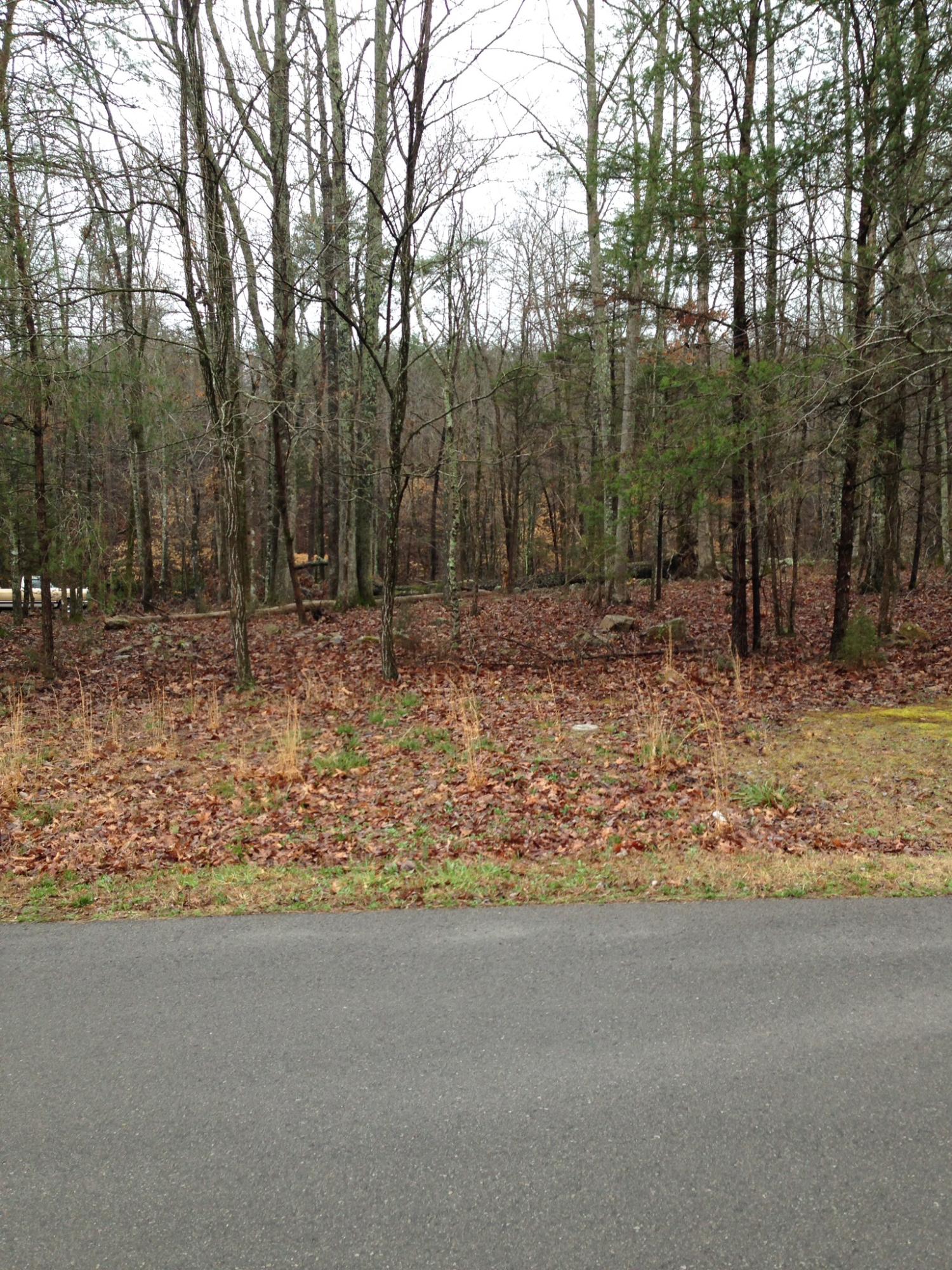 25 Blue Sewanee Road, Unit 25 Dunlap, TN 37327 - Photo 7 of 10 image.jpg