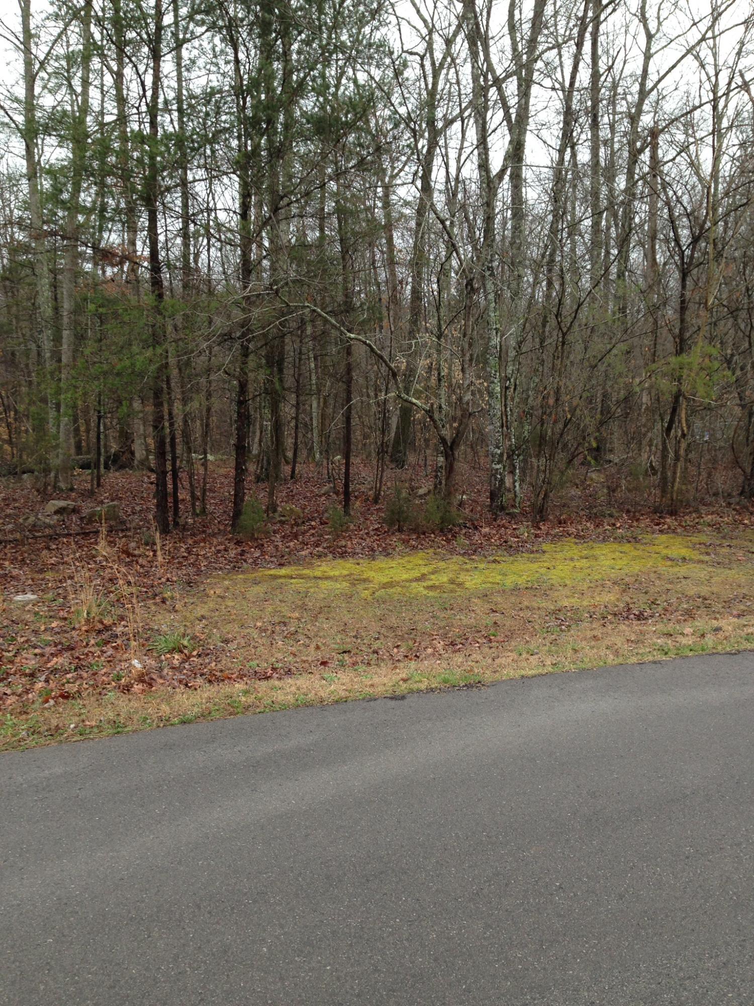 25 Blue Sewanee Road, Unit 25 Dunlap, TN 37327 - Photo 8 of 10 image.jpg