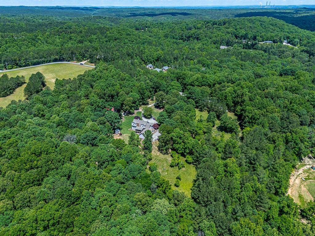 397 Thomas Road Dallas, GA 30132 - Photo 102 of 108 a view of a lush green forest with lots of trees