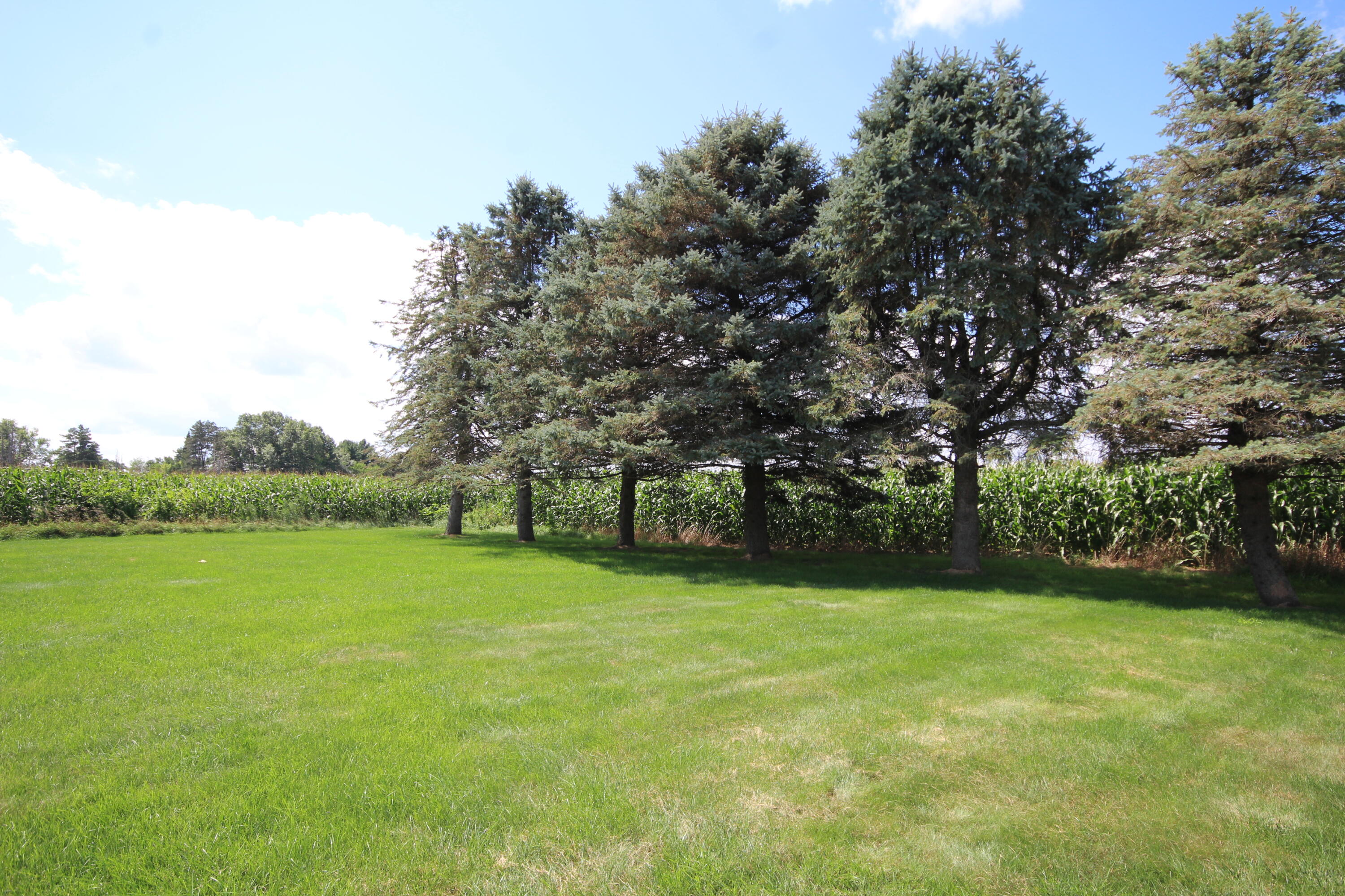 56900 Ruggles Road Three Rivers, MI 49093 - Photo 4 of 25 4