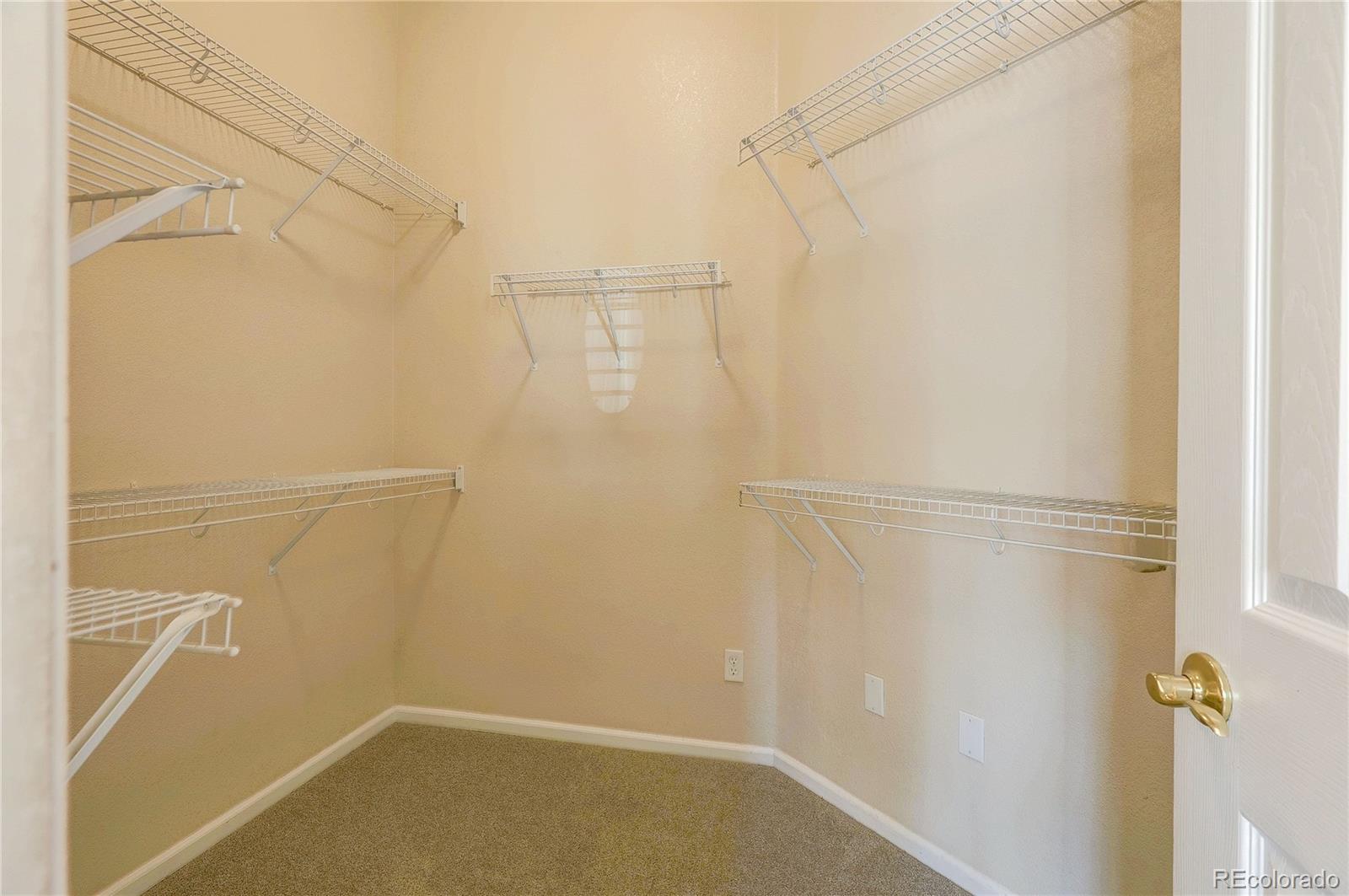 10292 South Nickolas Avenue Highlands Ranch, CO 80124 - Photo 21 of 46 a bathroom with a shower