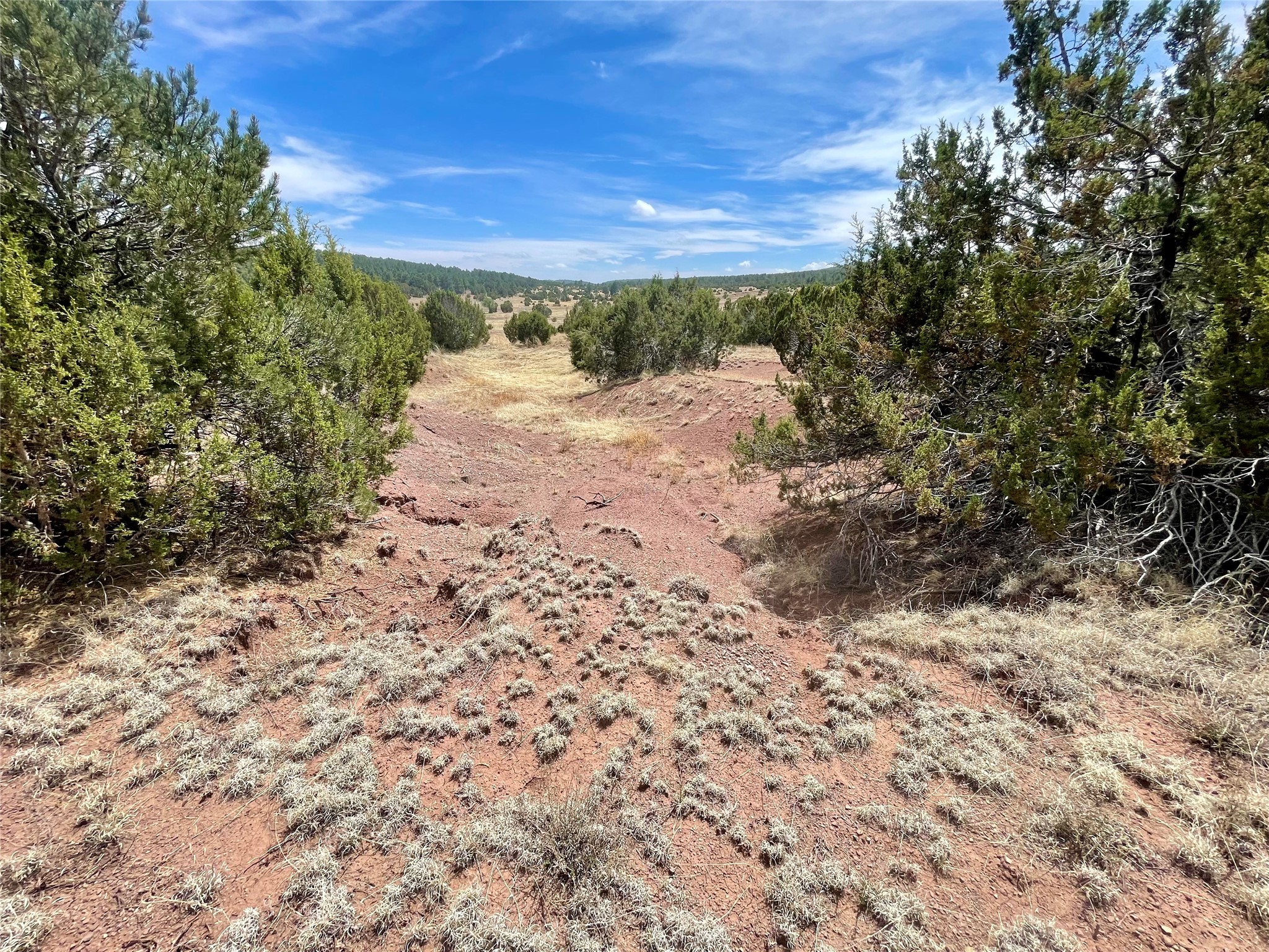 331 Mirasol Road Las Vegas, NM 87701 - Photo 9 of 14