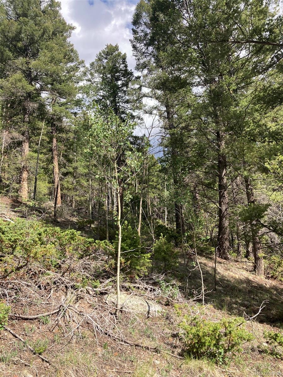 Lot 6461 Jacquez Road San Luis, CO 81152 - Photo 18 of 22