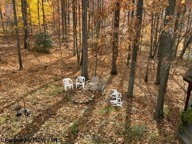 1509 Browning Road Rock Cave, WV 26234 - Photo 5 of 26 Gallery Image 5