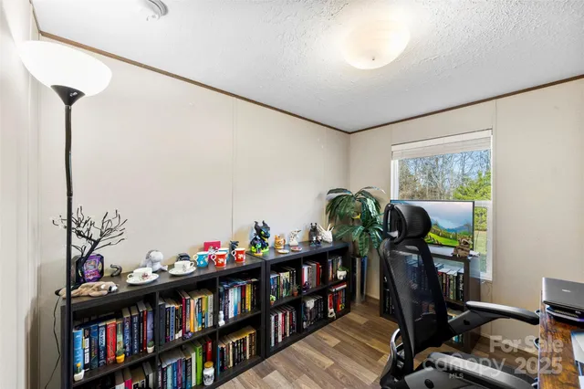 a living room with furniture book shelf and a potted plant