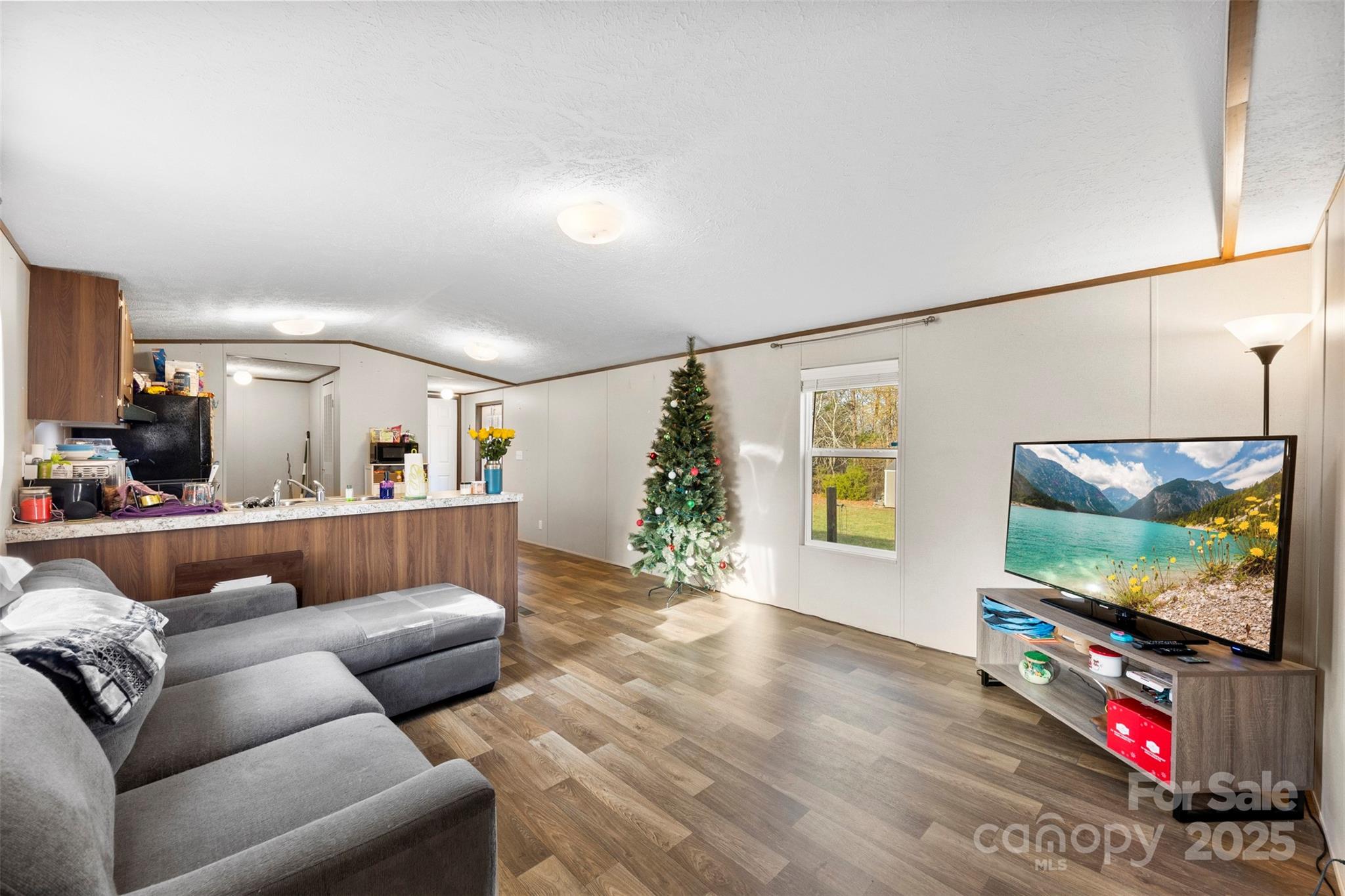 3051 Shoal Road Crouse, NC 28033 - Photo 3 of 26 a living room with furniture and a flat screen tv