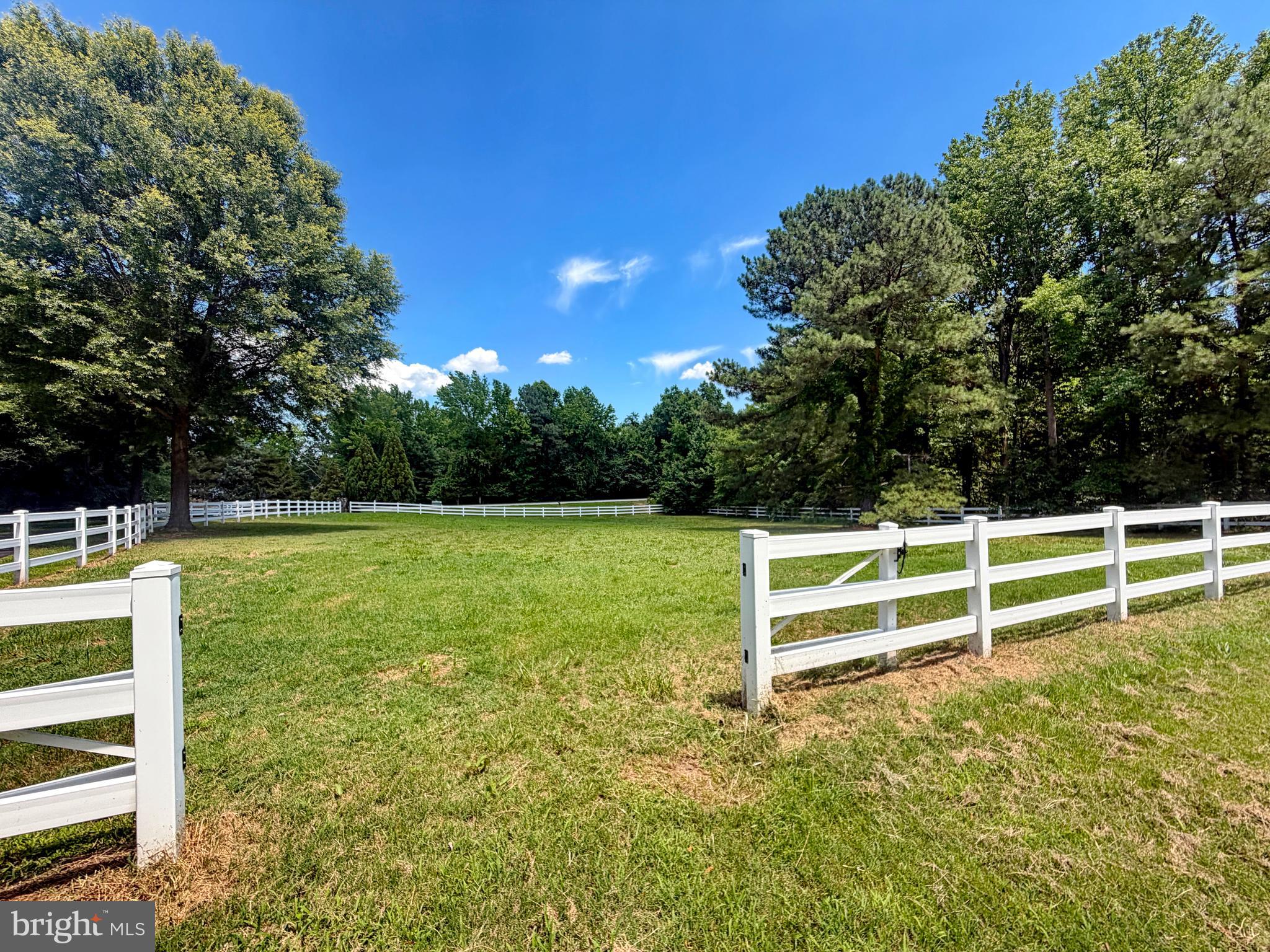 13655 Waverly Point Road Newburg, MD 20664 - Photo 5 of 6 Composite Split Railings