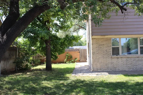 a view of a backyard with a tree