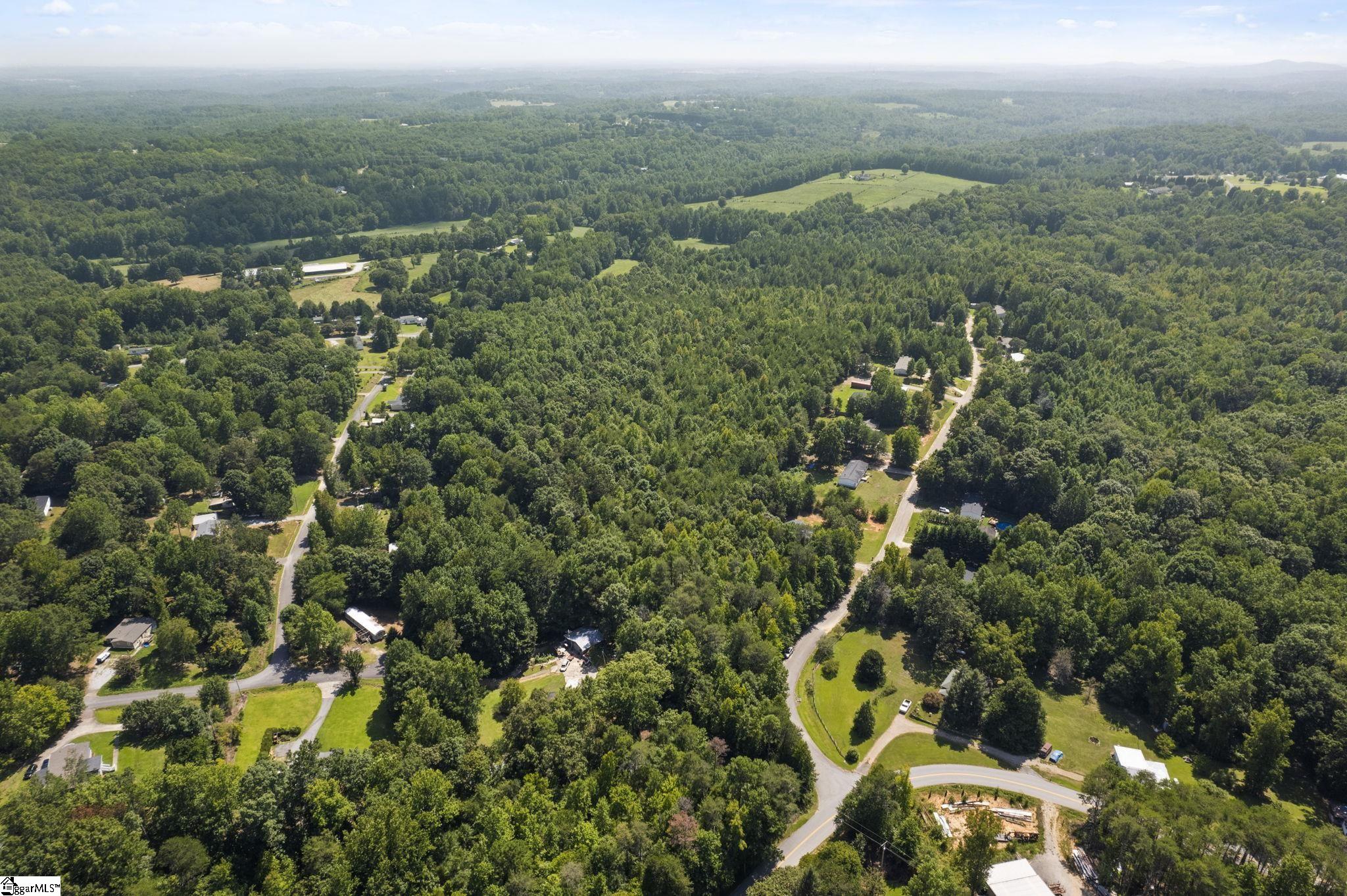 Diwa Drive Easley, SC 29640 - Photo 11 of 23