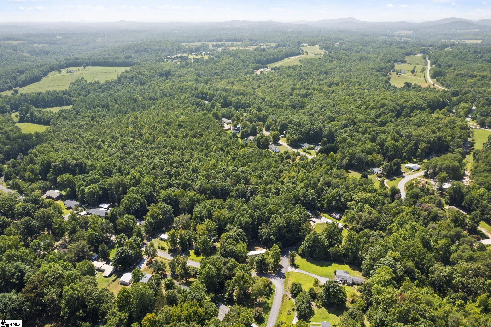 Diwa Drive Easley, SC 29640 - Photo 13 of 23