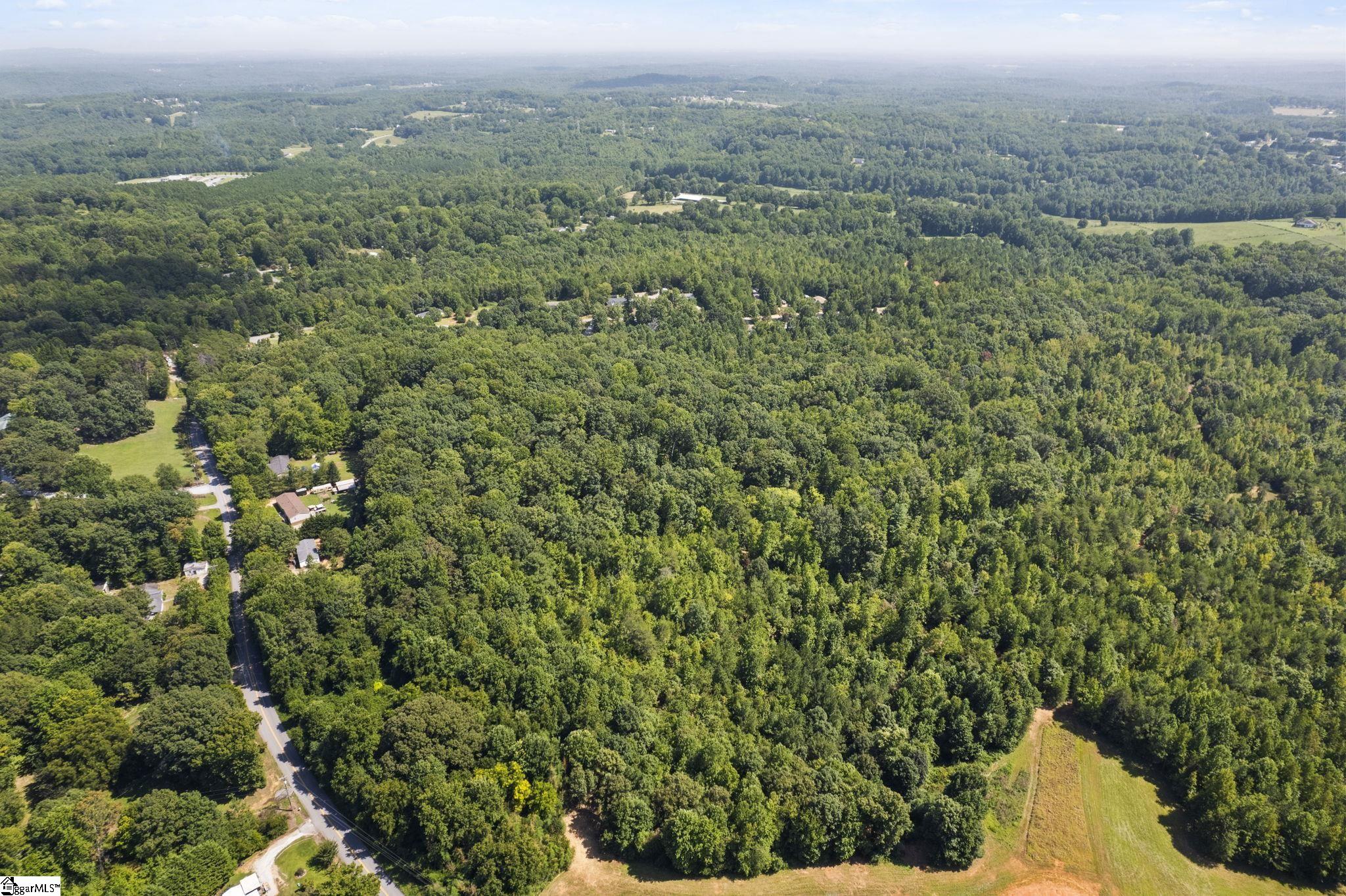 Diwa Drive Easley, SC 29640 - Photo 17 of 23