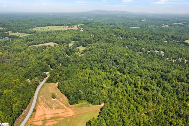 $800,000 | Diwa Drive, Easley, SC 29640