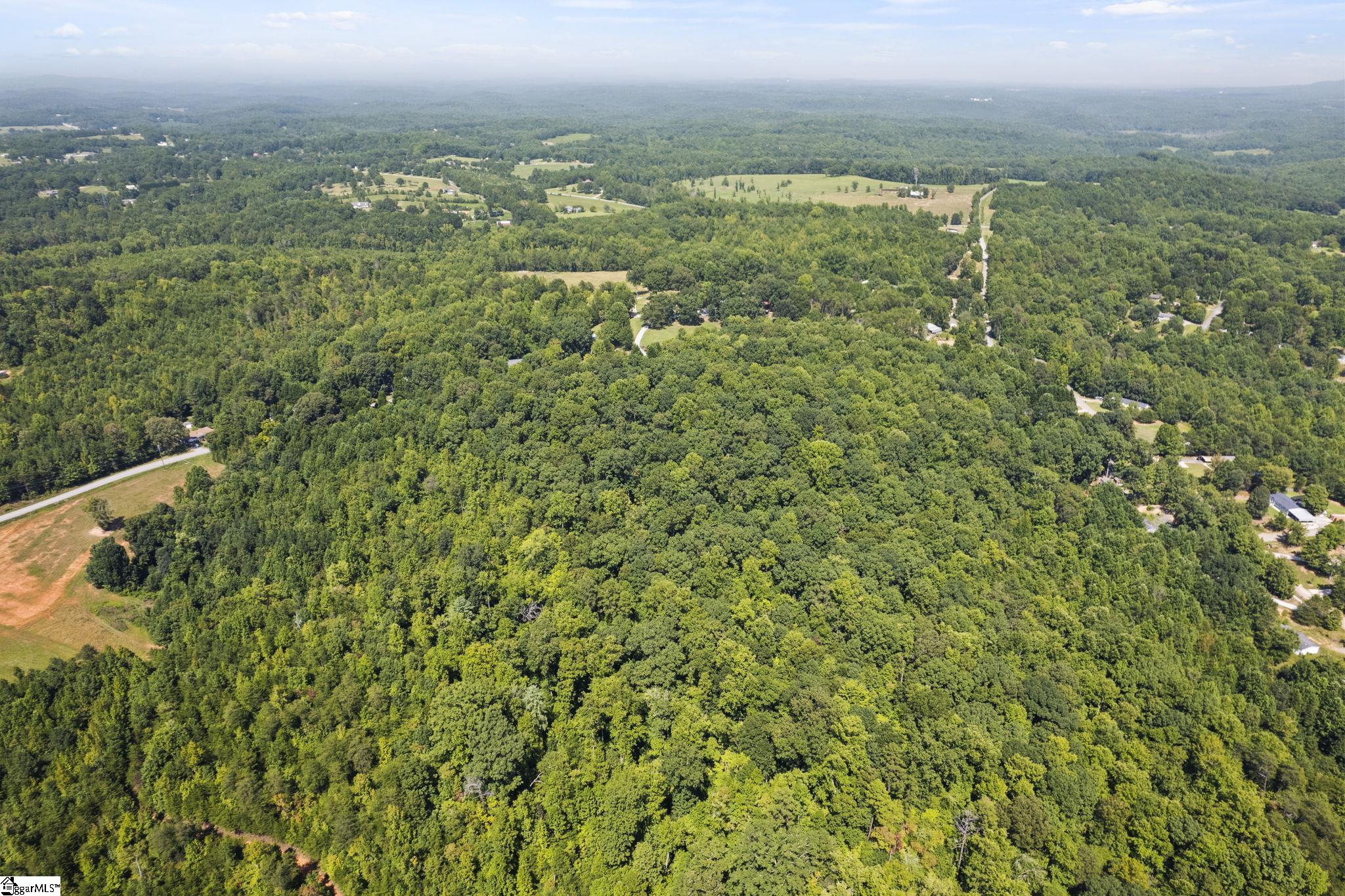 Diwa Drive Easley, SC 29640 - Photo 19 of 23