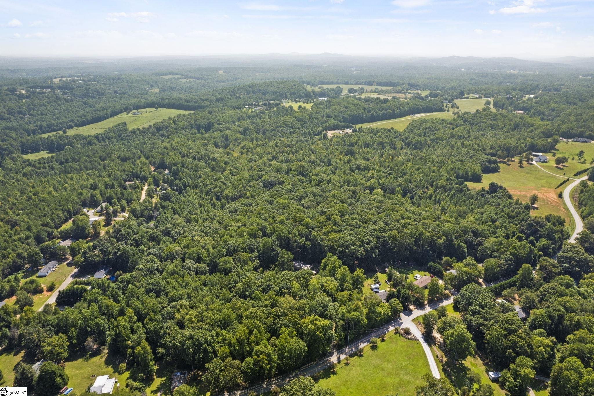 Diwa Drive Easley, SC 29640 - Photo 20 of 23