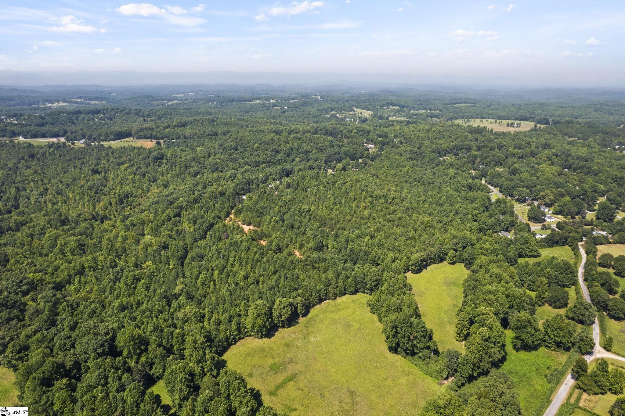 Diwa Drive Easley, SC 29640 - Photo 4 of 23