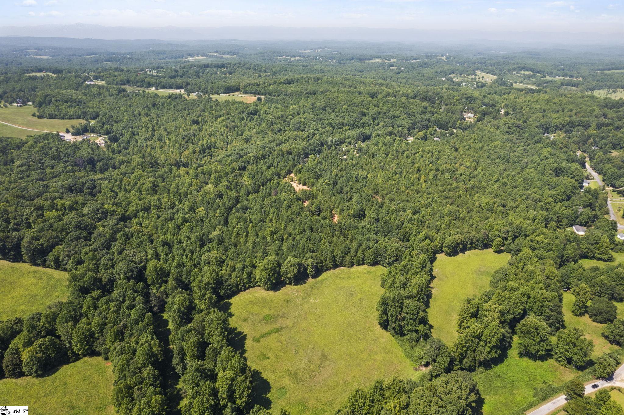 Diwa Drive Easley, SC 29640 - Photo 5 of 23