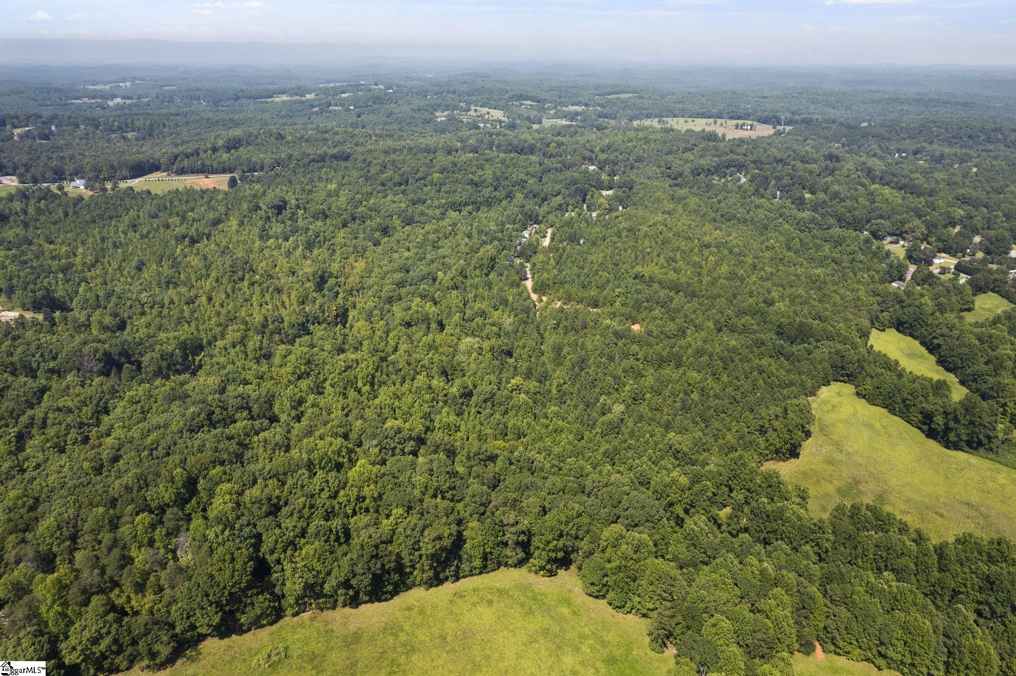 Diwa Drive Easley, SC 29640 - Photo 6 of 23