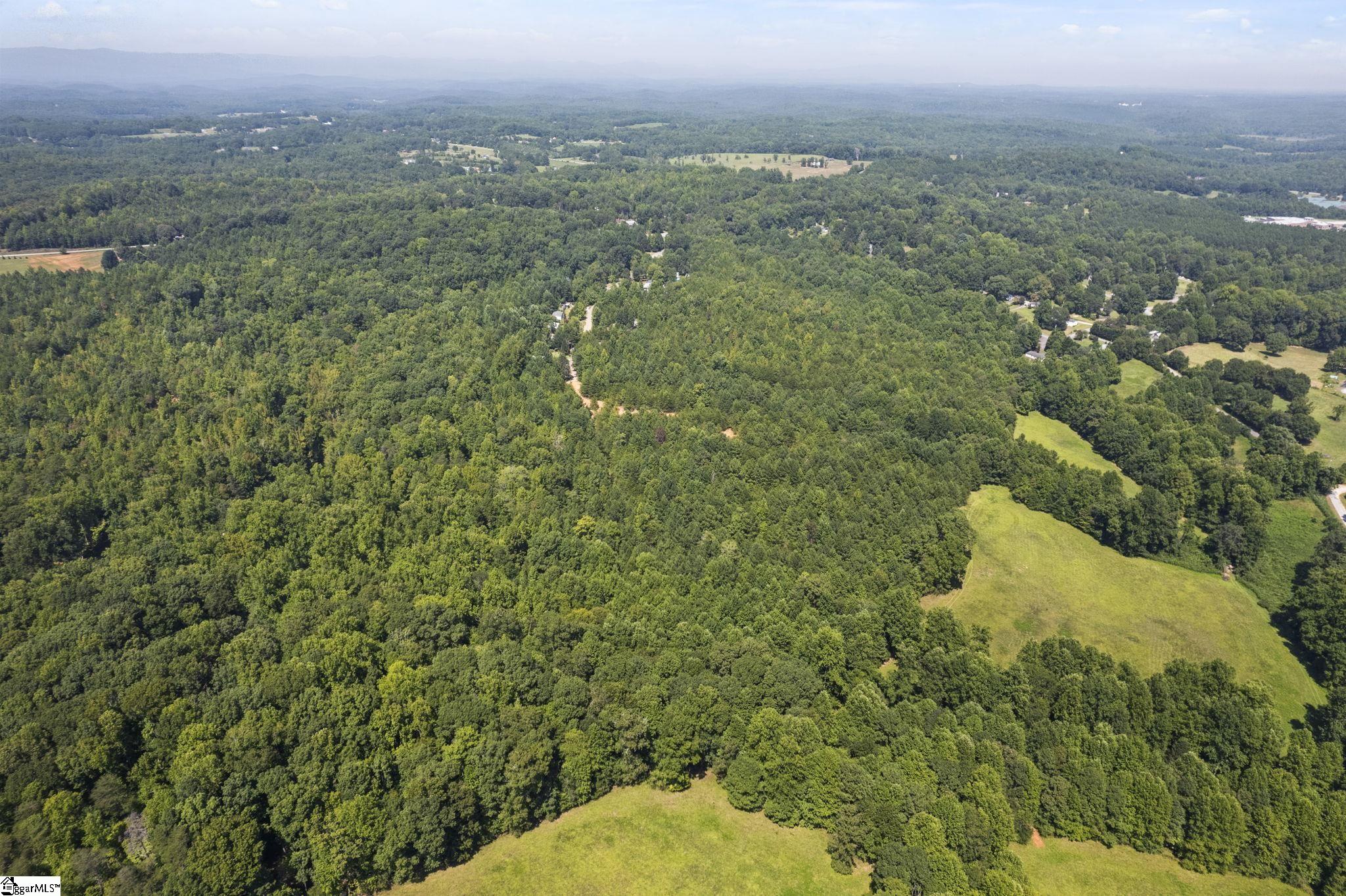 Diwa Drive Easley, SC 29640 - Photo 7 of 23