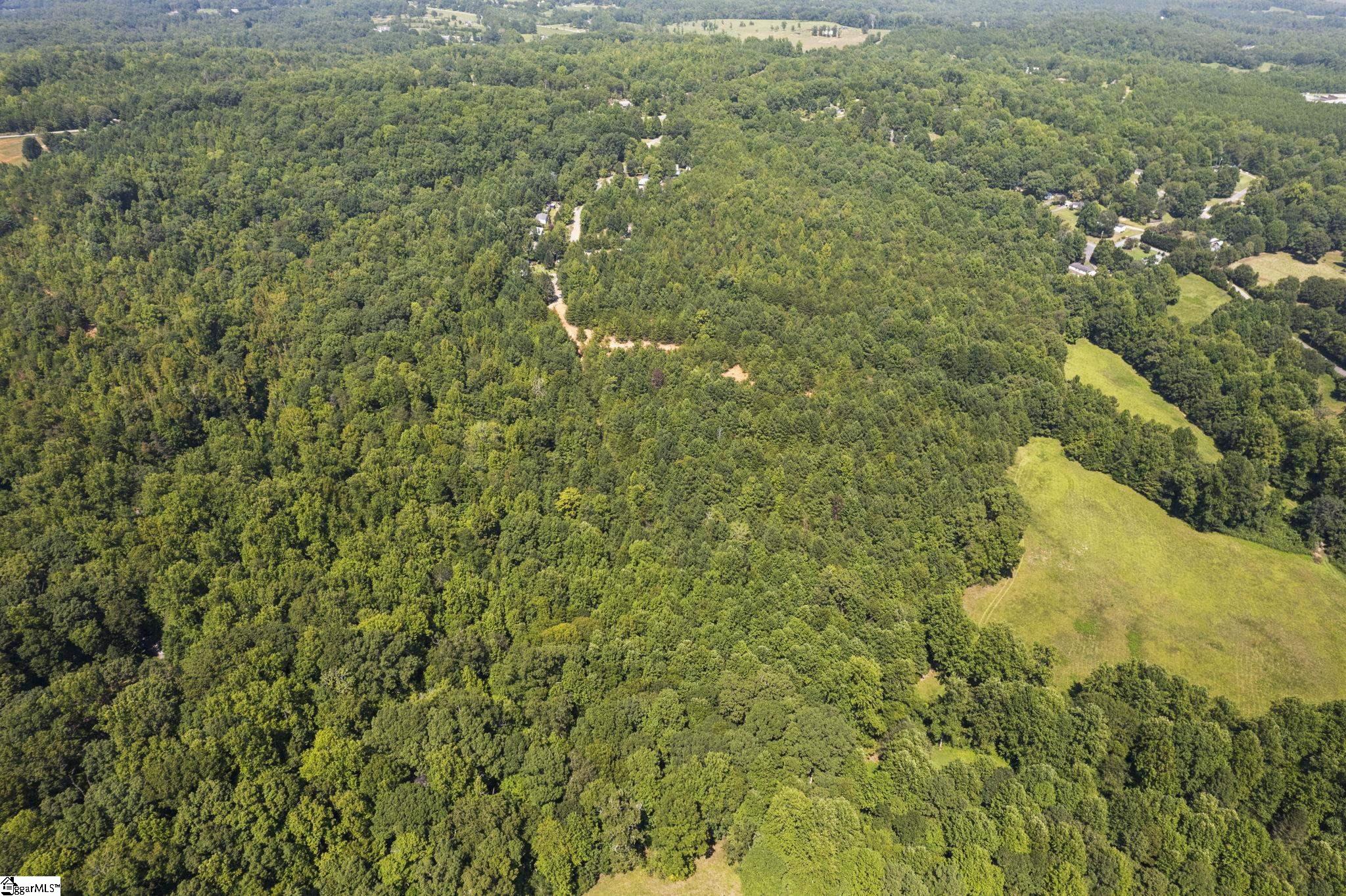 Diwa Drive Easley, SC 29640 - Photo 8 of 23