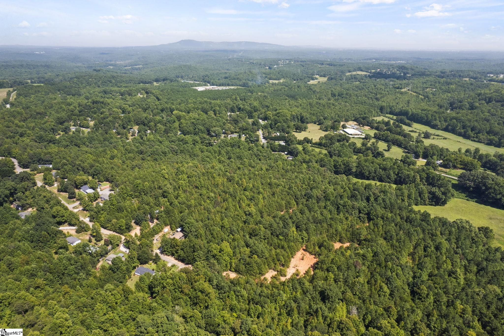 Diwa Drive Easley, SC 29640 - Photo 9 of 23