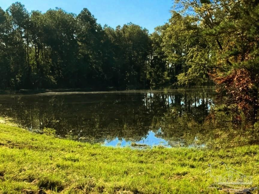 9023 County Road Millry, AL 36558 - Photo 35 of 72