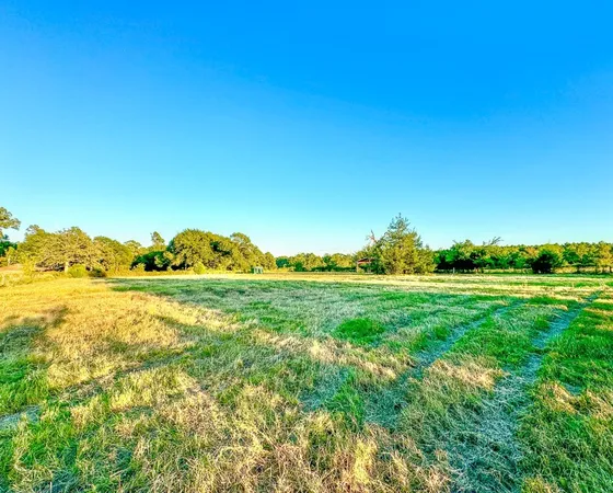 $998,999 | T-5 Hoke Road, Richards, TX 77873