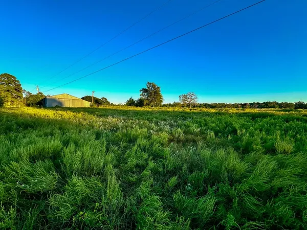 $998,999 | T-5 Hoke Road, Richards, TX 77873