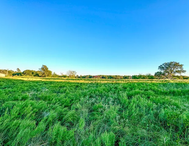 a view of a large yard with lots of trees