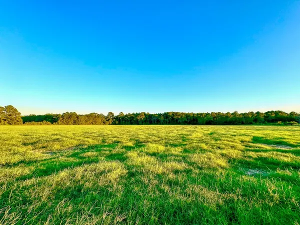 $998,999 | T-5 Hoke Road, Richards, TX 77873