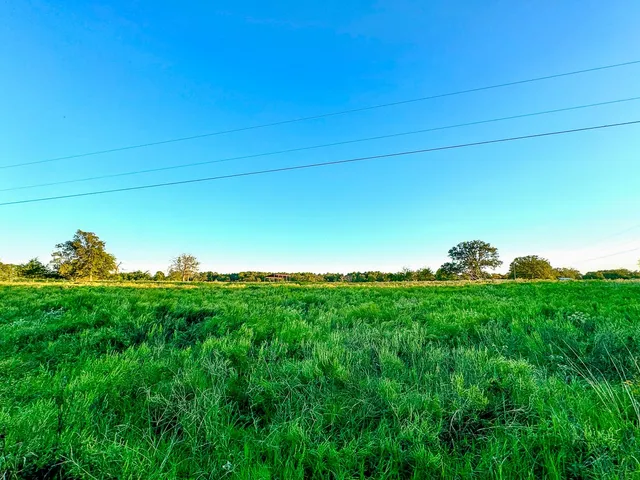 a view of a big yard